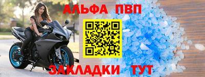 стафф Кингисепп