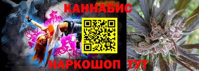 стафф Кингисепп