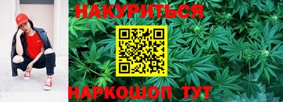 стафф Кингисепп