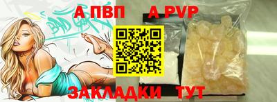 стафф Кингисепп