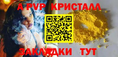 стафф Кингисепп