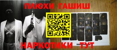 стафф Кингисепп
