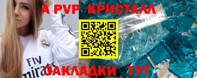 стафф Кингисепп