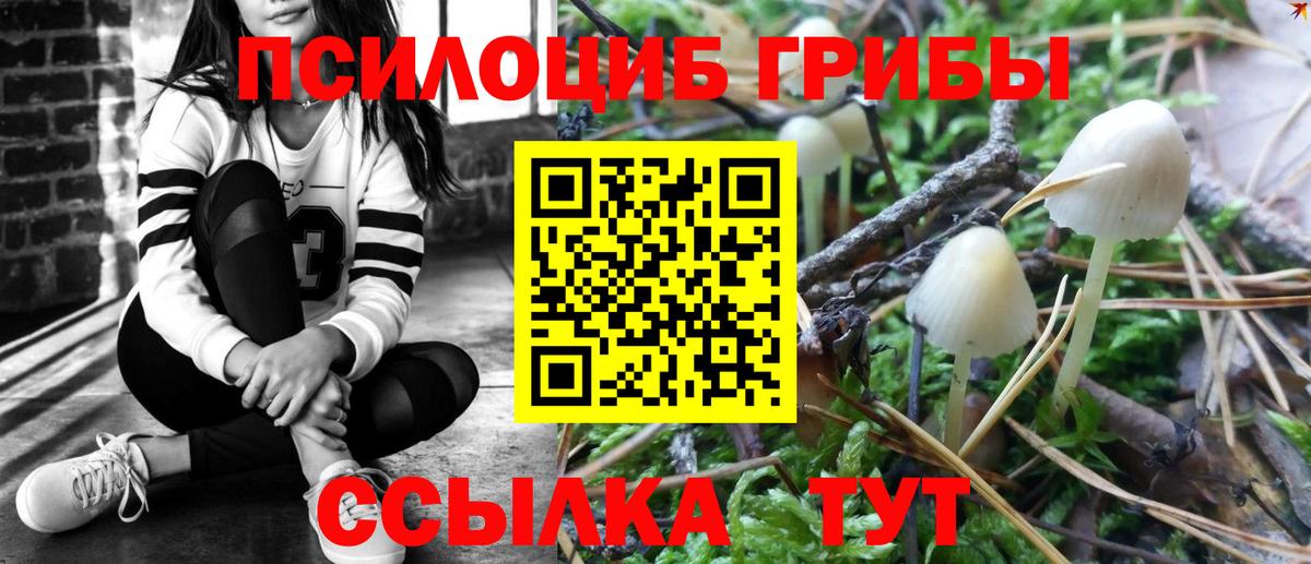 Зеленокумск  Галлюциногенные грибы мицелий  Вход с VPN 